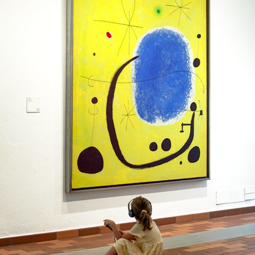 Fundació Joan Miró: Skip The Line Ticket