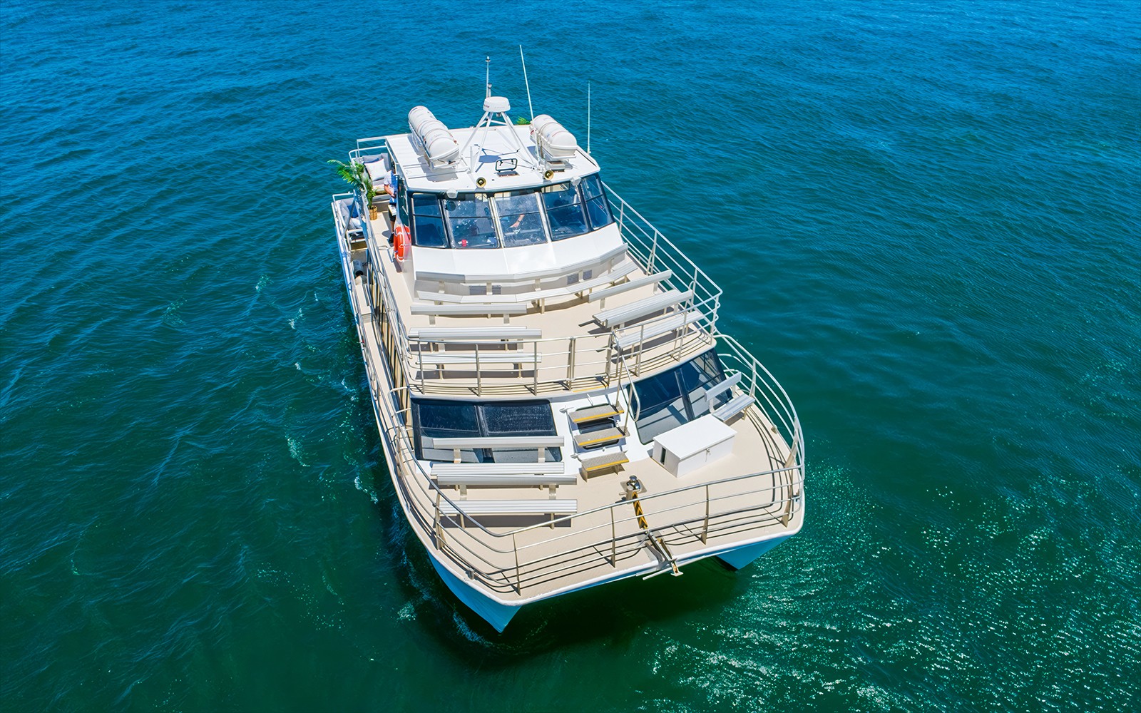 Sydney Whale Watching Cruise