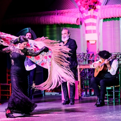 El Palacio Andaluz Sevilla Flamenco Show + Glass of Cava or Dinner — gallery 4