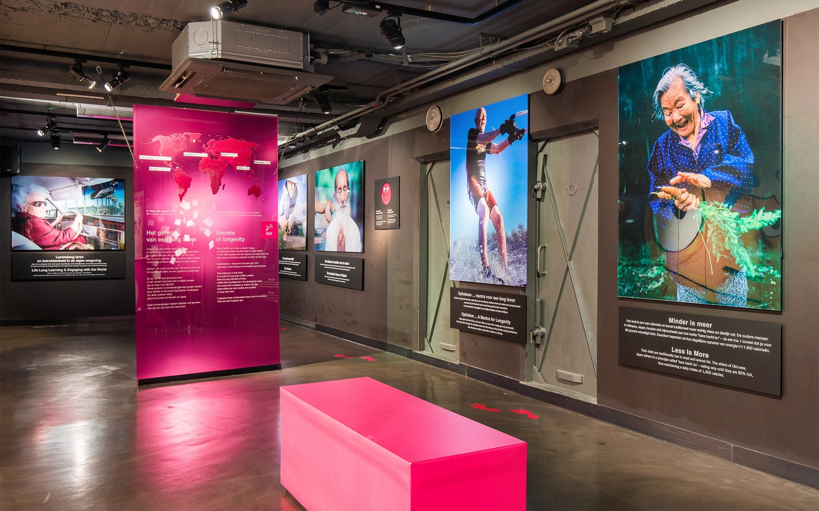Body Worlds Amsterdam: The Happiness Project Skip-the-Line Tickets — gallery 2