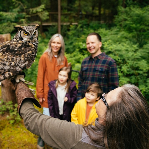 Capilano Suspension Bridge Park: Entry Ticket