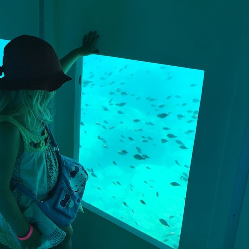 Poseidon Submarine Cruise — gallery 1
