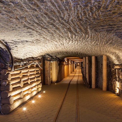 Auschwitz-Birkenau & Wieliczka Salt Mine: Guided Tour + Transport