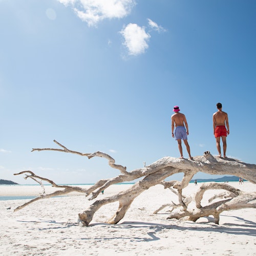 Whitehaven Beach: Cruise from Airlie Beach + Hill Inlet Guided Tour + BBQ — gallery 3