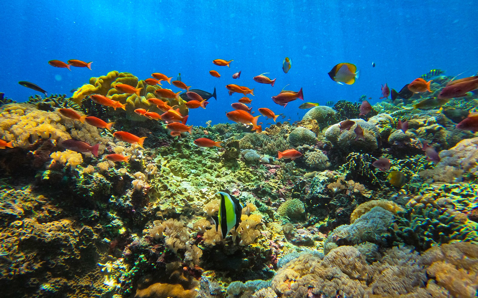 Nusa Penida All-Inclusive Tour from Bali with Manta Rays
