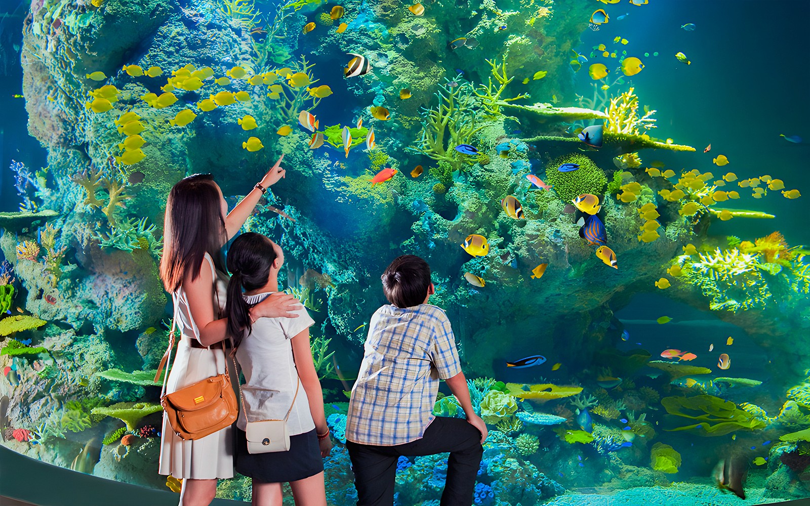 Singapore Oceanarium Tickets