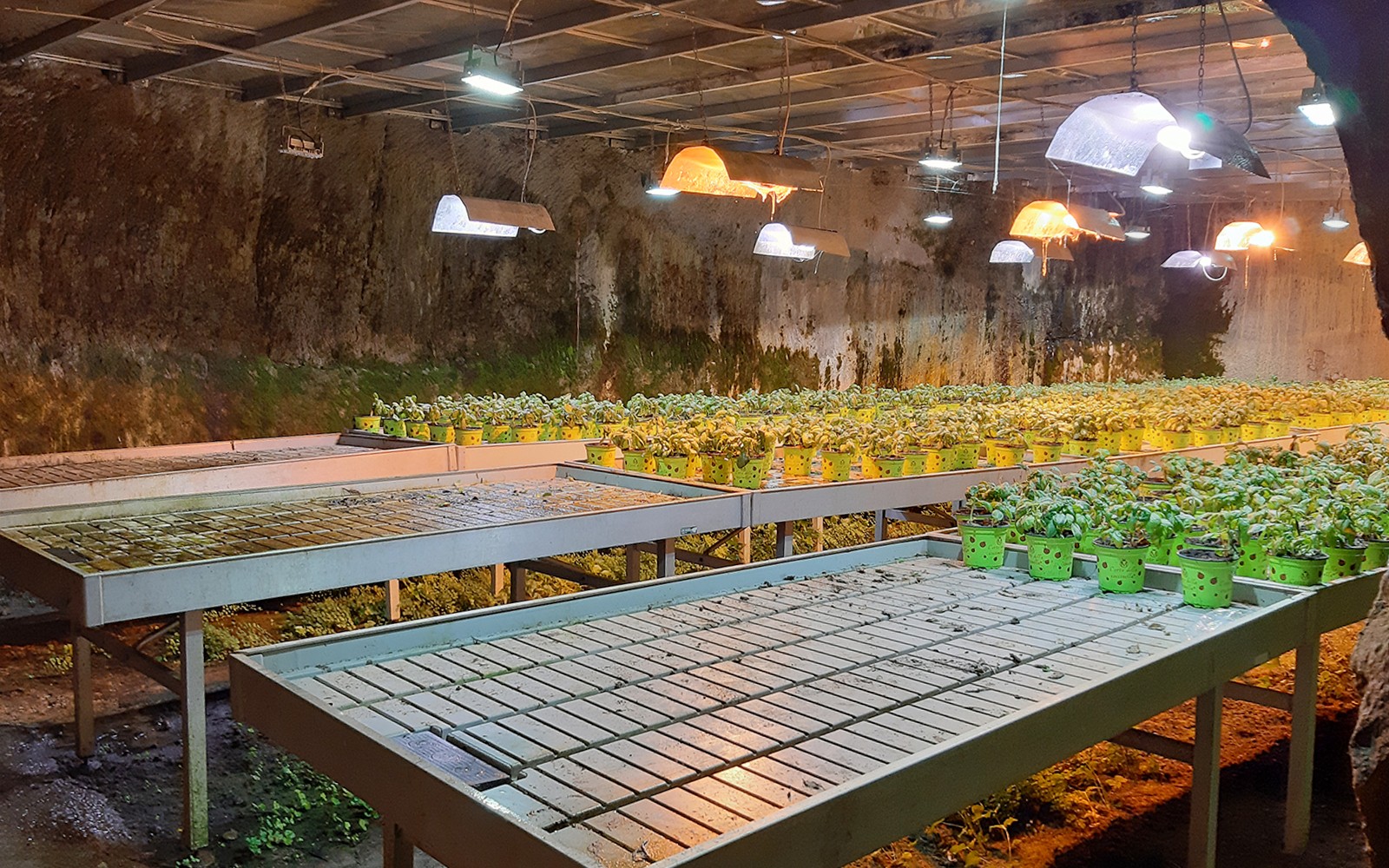 Naples Underground Skip-the-Line Ticket and Guided Tour — gallery 2