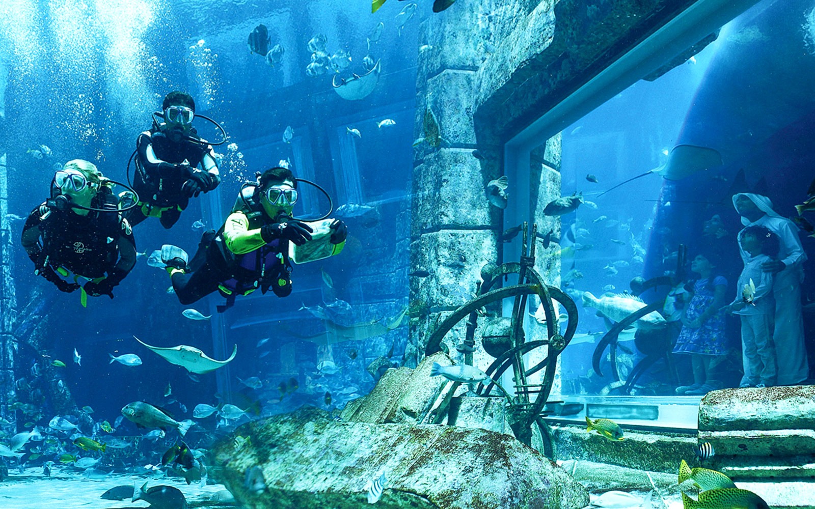 Atlantis Snorkeling & Scuba Diving — gallery 4