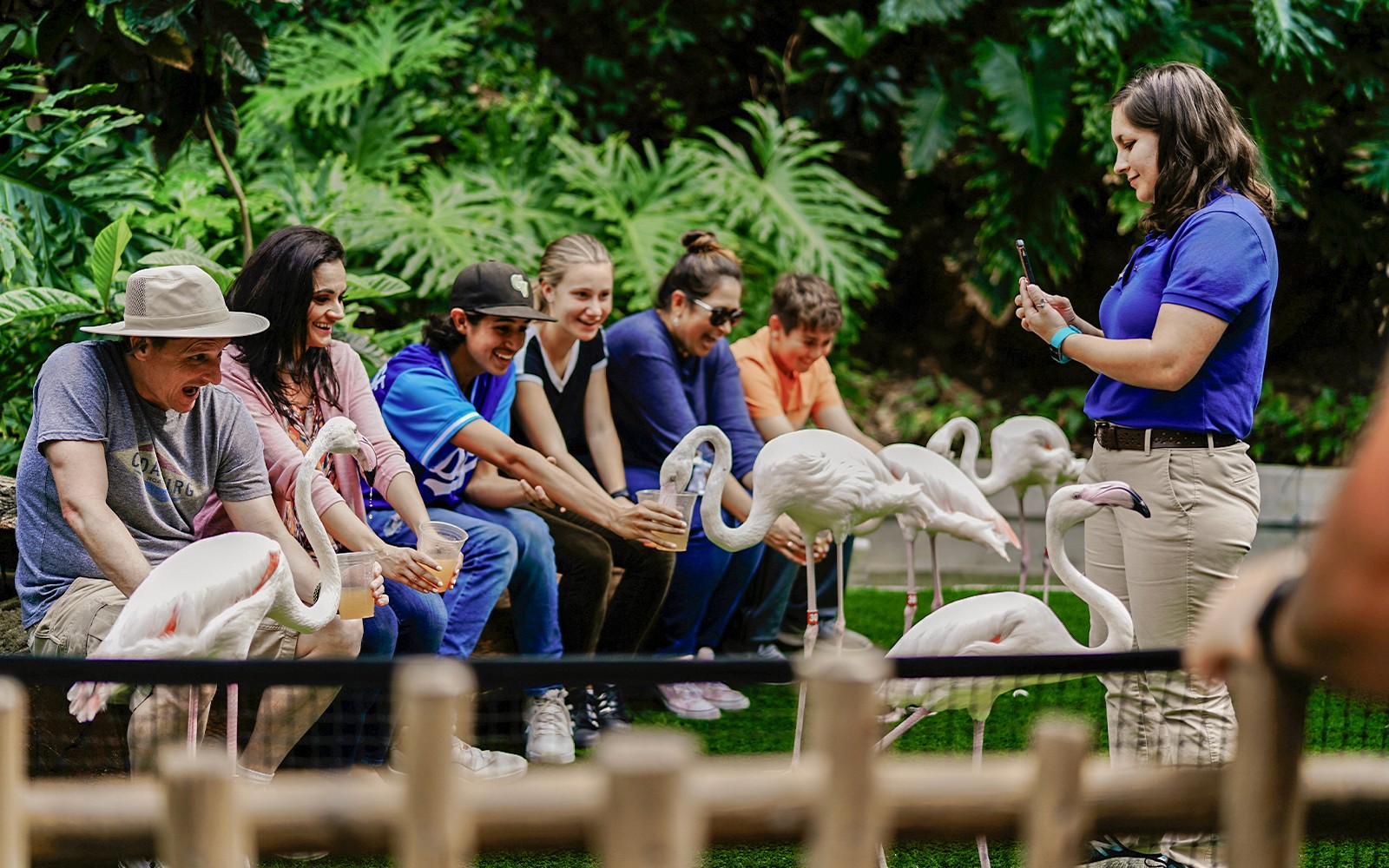 Madrid Zoo Aquarium Entry Tickets — gallery 5