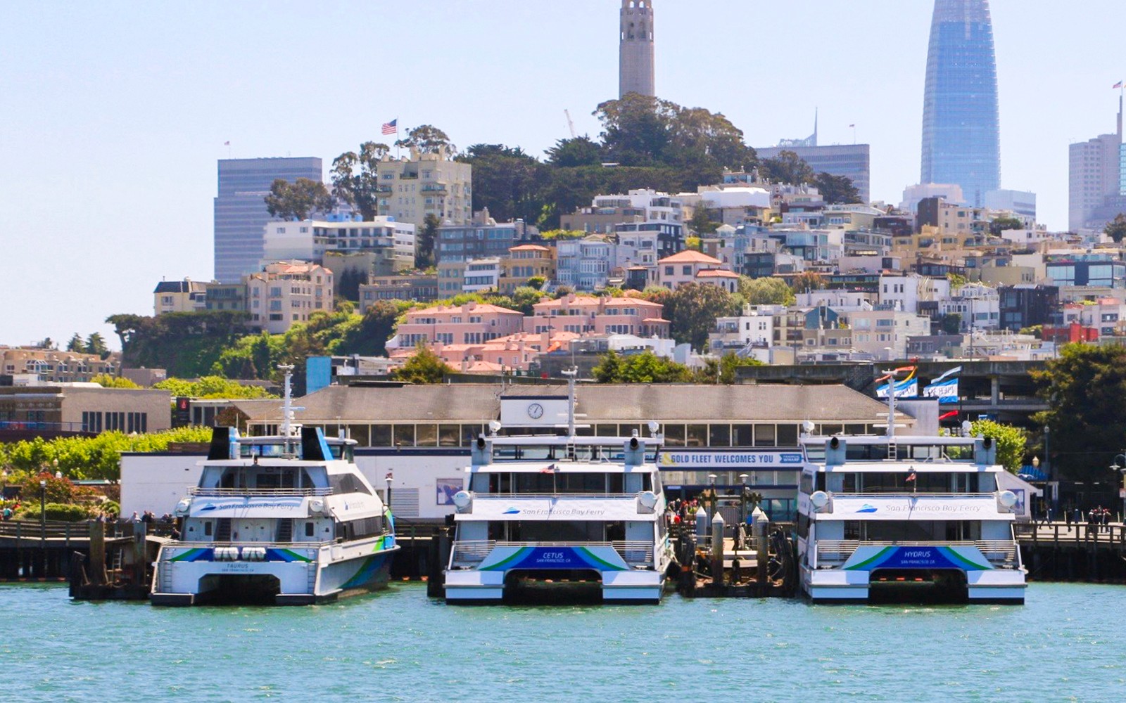 Combo: San Francisco Hop-on Hop-off Bus Tour + Golden Gate Bay & Alcatraz Cruise Tickets — gallery 2