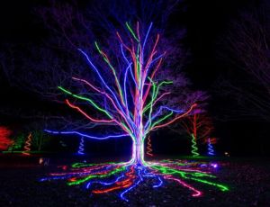Lightscape Brooklyn — gallery 2
