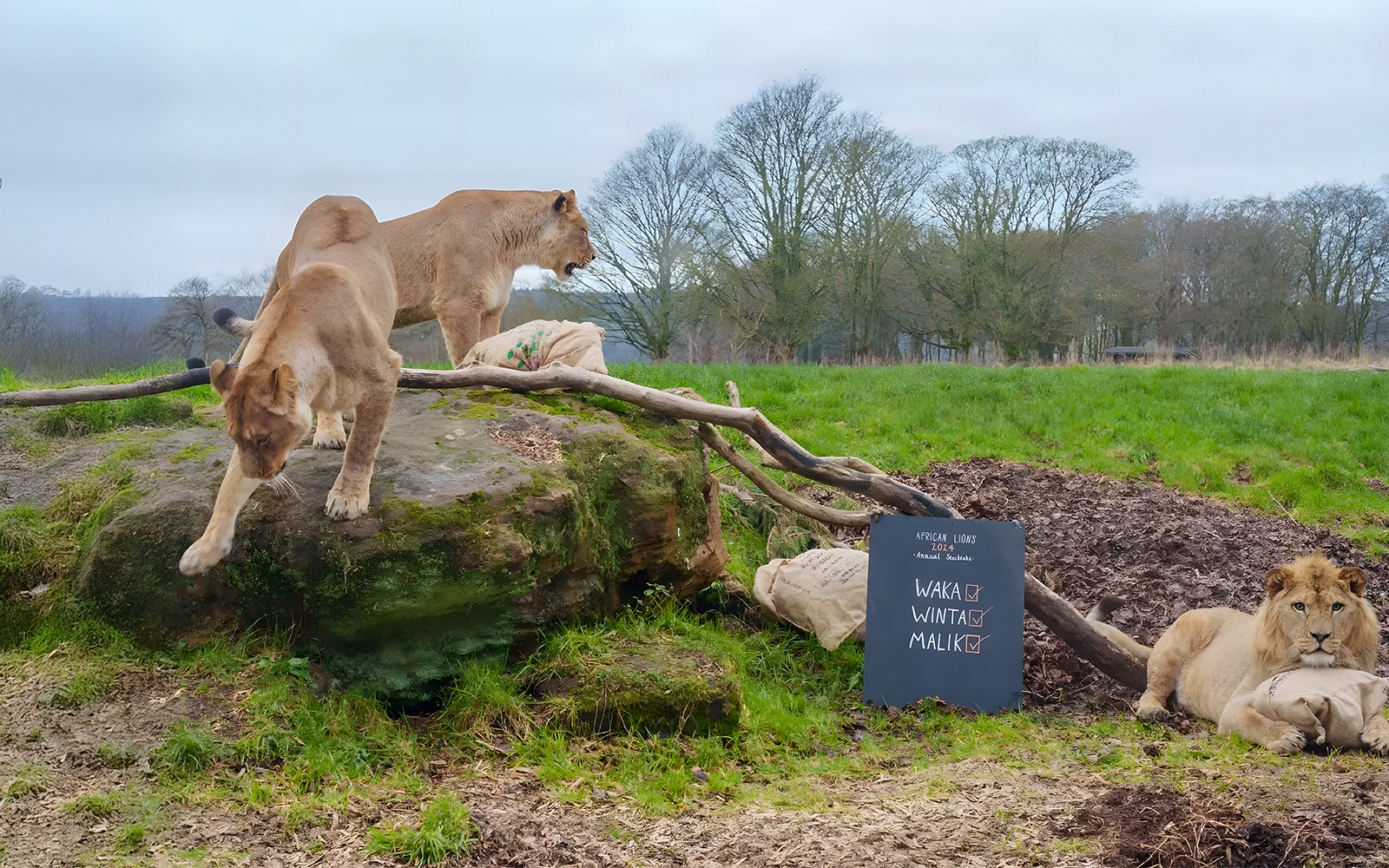 Whipsnade Zoo Entrance Tickets — portrait