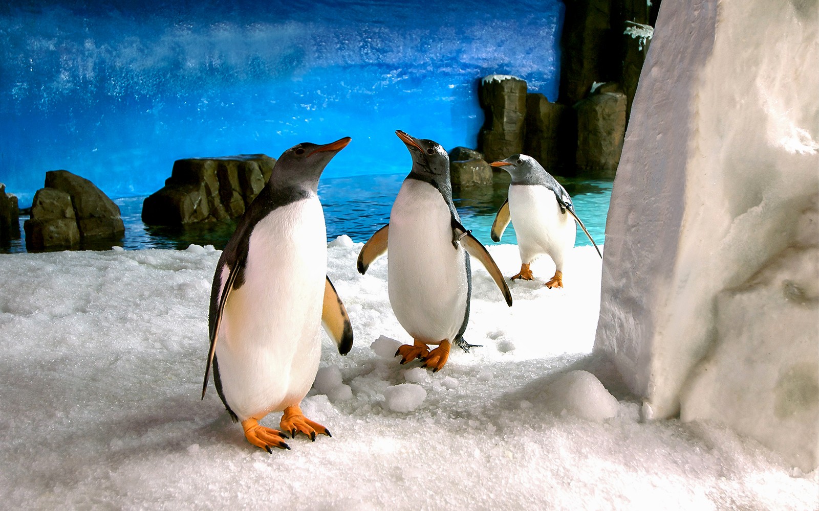 SEA LIFE Melbourne Aquarium Tickets