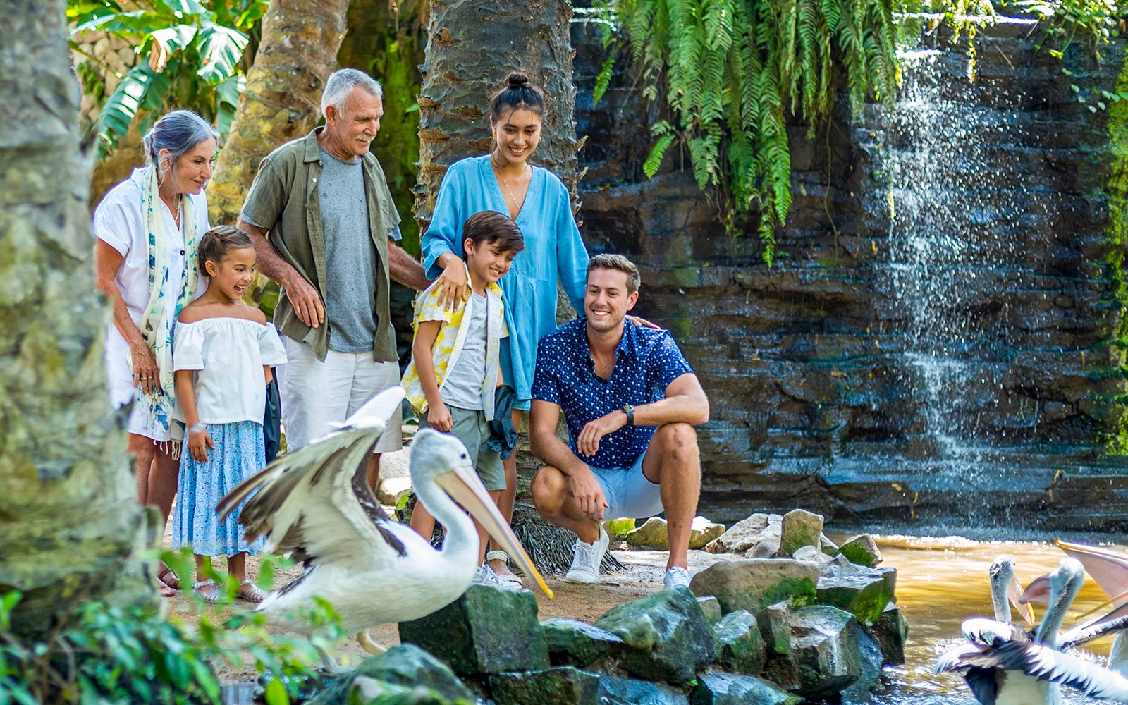 Bali Bird Park Tickets + Optional Lunch with Bird Stars — gallery 3