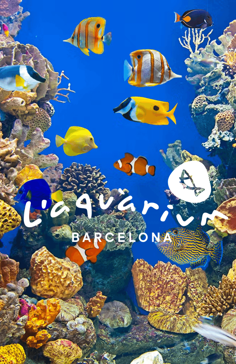 Barcelona Aquarium: Skip the Line — gallery 1