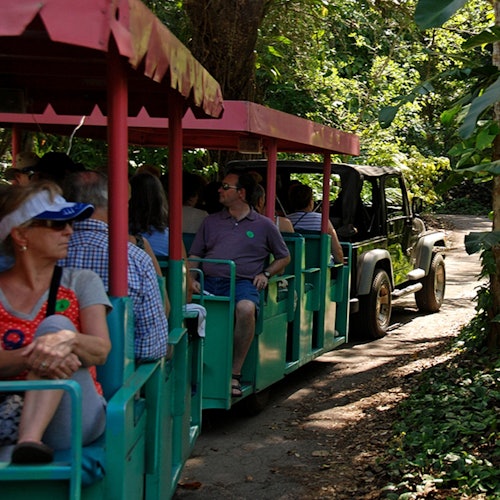 Flamingo Gardens: Skip The Line Ticket — gallery 3