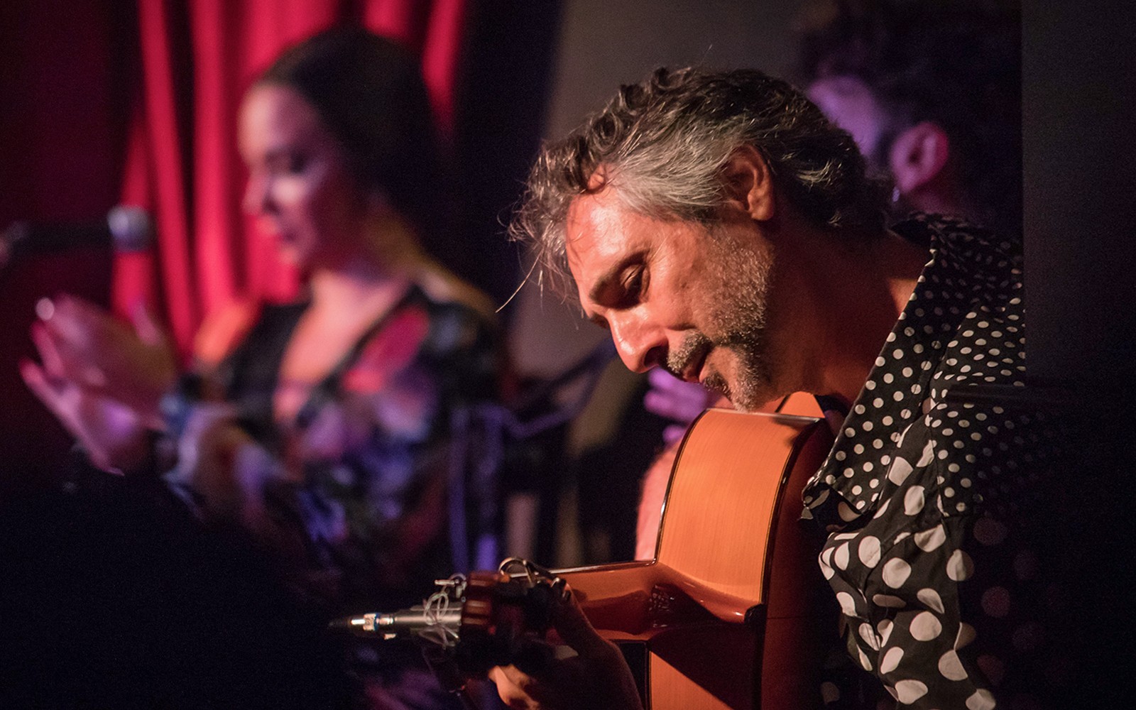 Alegría - Flamenco Show