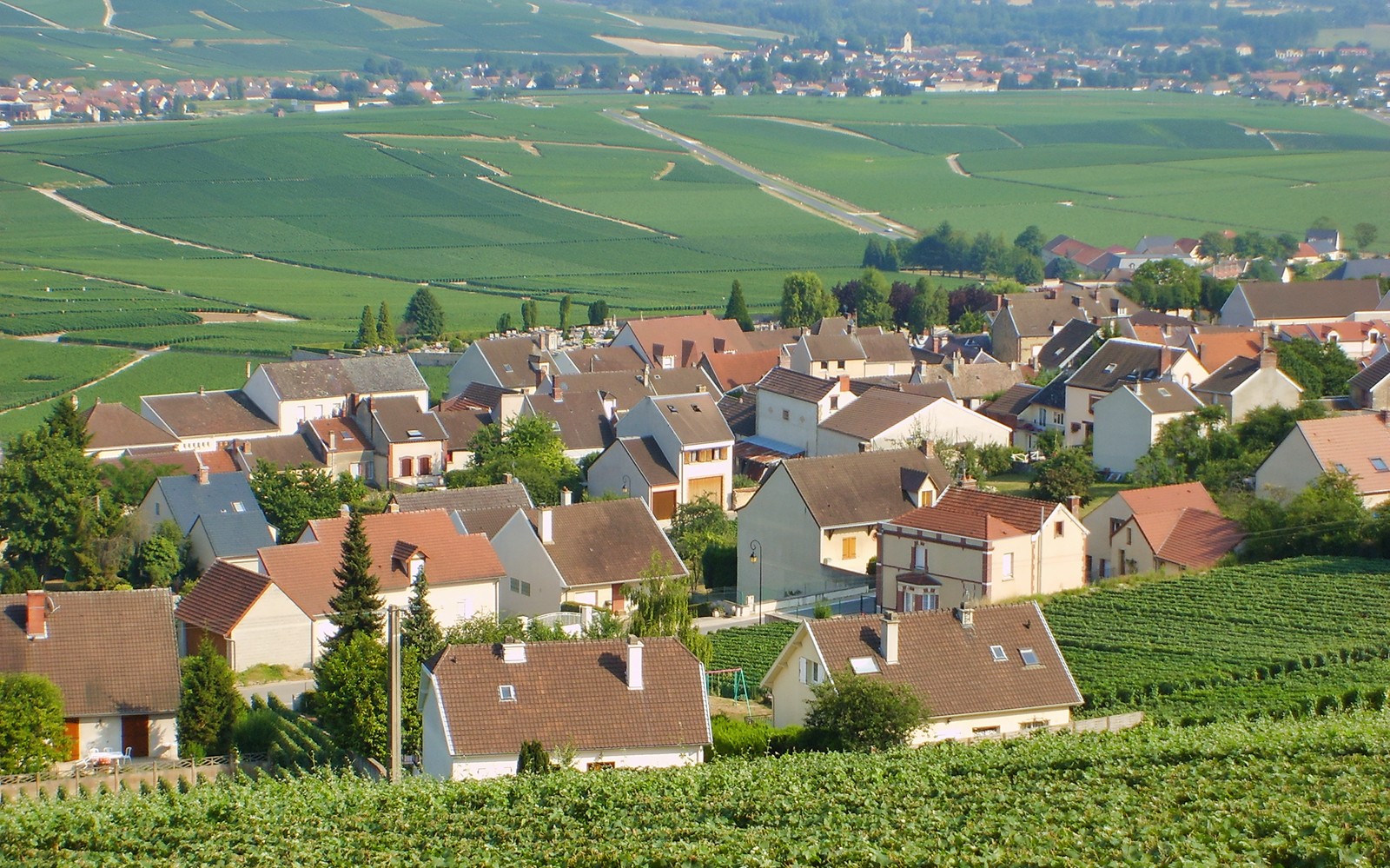 Day Trip to Champagne Region from Paris including Moët Chandon, Hautvillers and a Family Winery — gallery 2