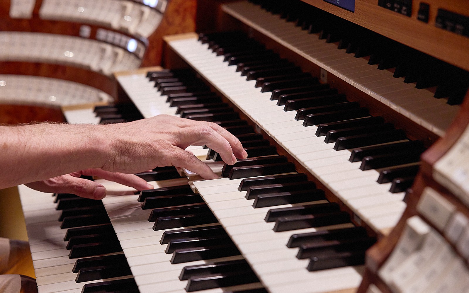 St. Stephen's Cathedral: Giant Organ Concerts Ticket