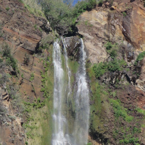 Madeira: Guided Open-Top 4X4 Jeep Tour — gallery 5