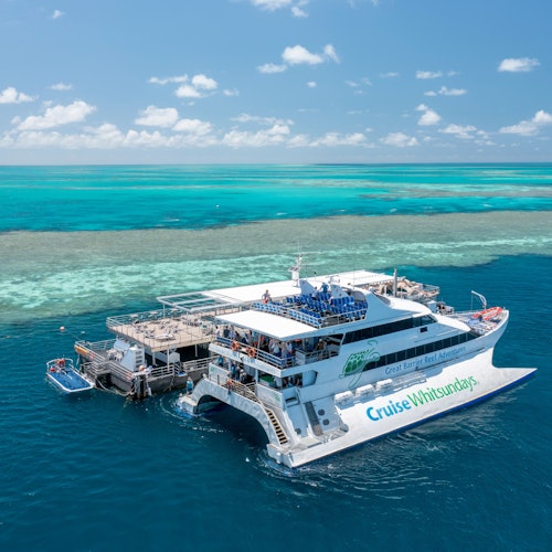 Great Barrier Reef: Pontoon Cruise + Semi-Submarine Tour + Buffet Lunch — gallery 3