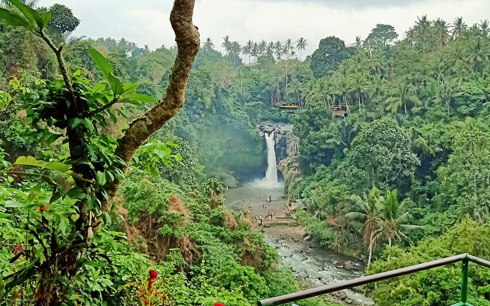 Best Ubud Tour: Monkey forest, Rice Terrace & Waterfall