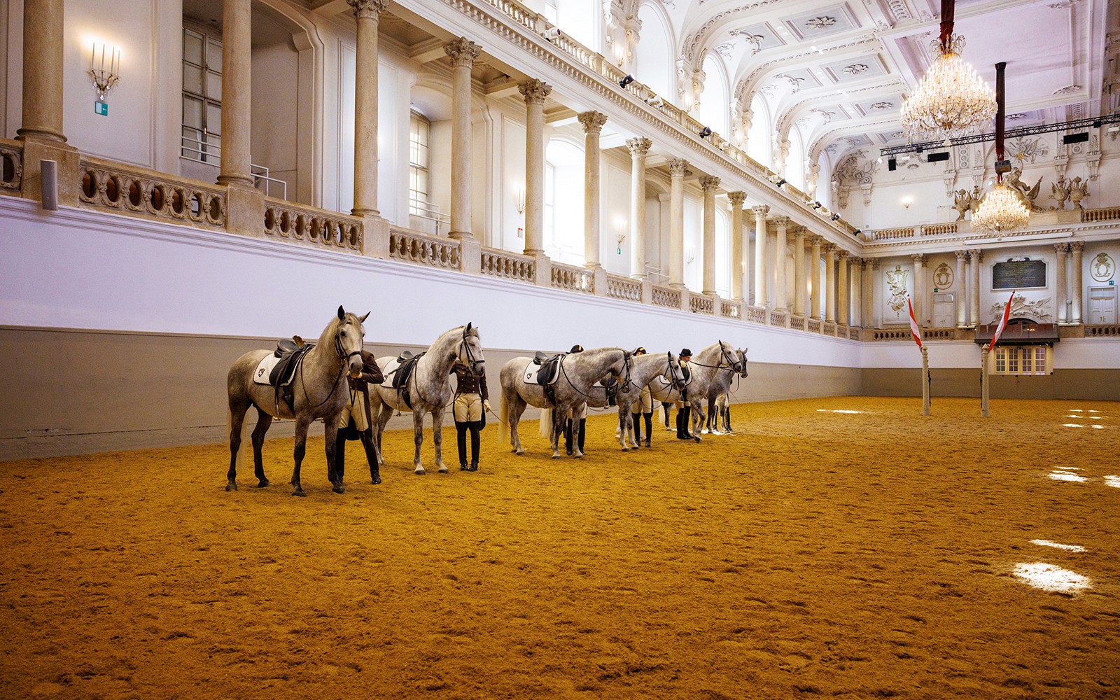 Spanish Riding School Guided Tour