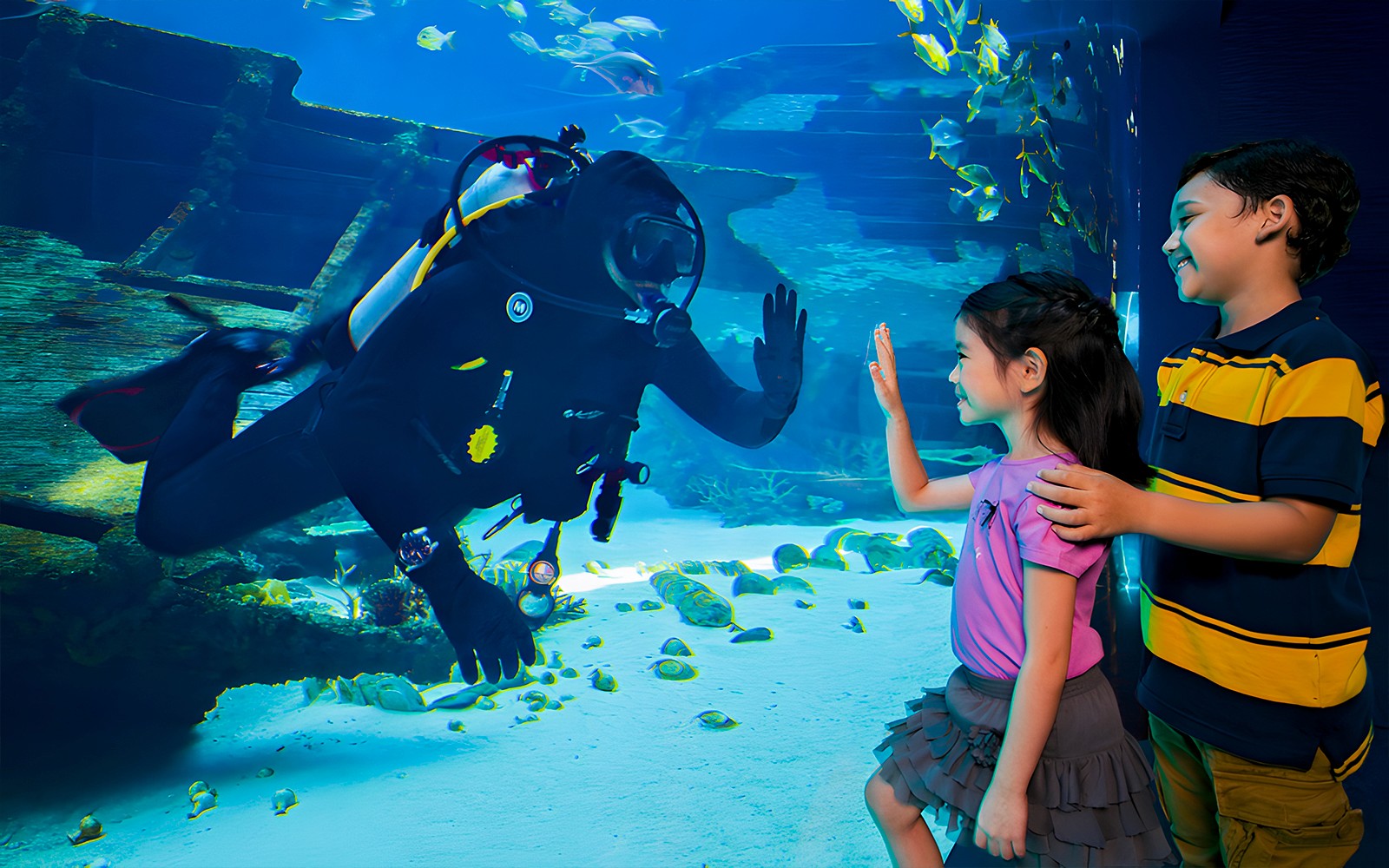 Singapore Oceanarium Tickets — gallery 1