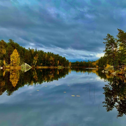 Stockholm: Nature Reserve Hiking Tour + Campfire Lunch + Roundtrip Transport — gallery 5