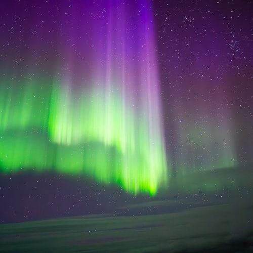 Special Aurora Borealis Hunt — gallery 2