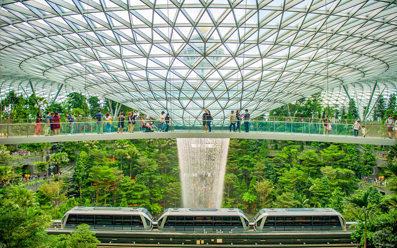 Jewel Changi Canopy Park Tickets with Nets — gallery 1