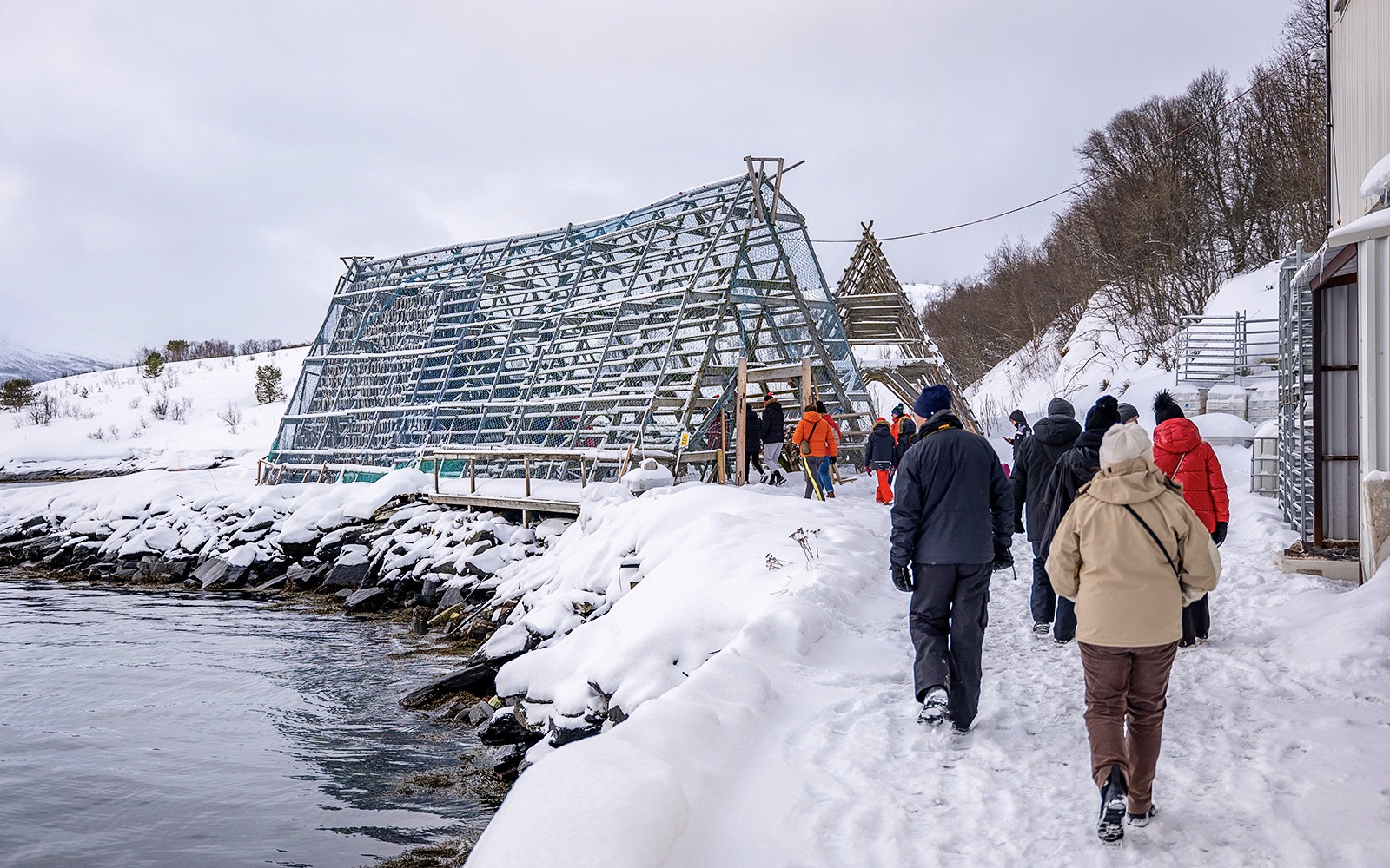 From Tromso: Arctic Fjord Cruise & Wildlife Tour