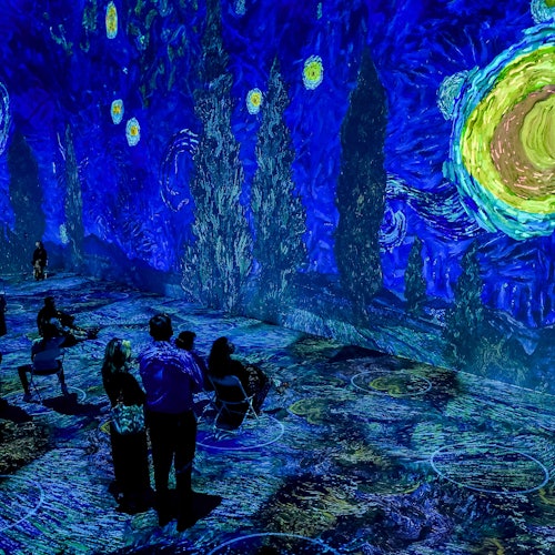 The New Immersive Van Gogh - The Next Chapter Las Vegas: Entry Ticket — gallery 1