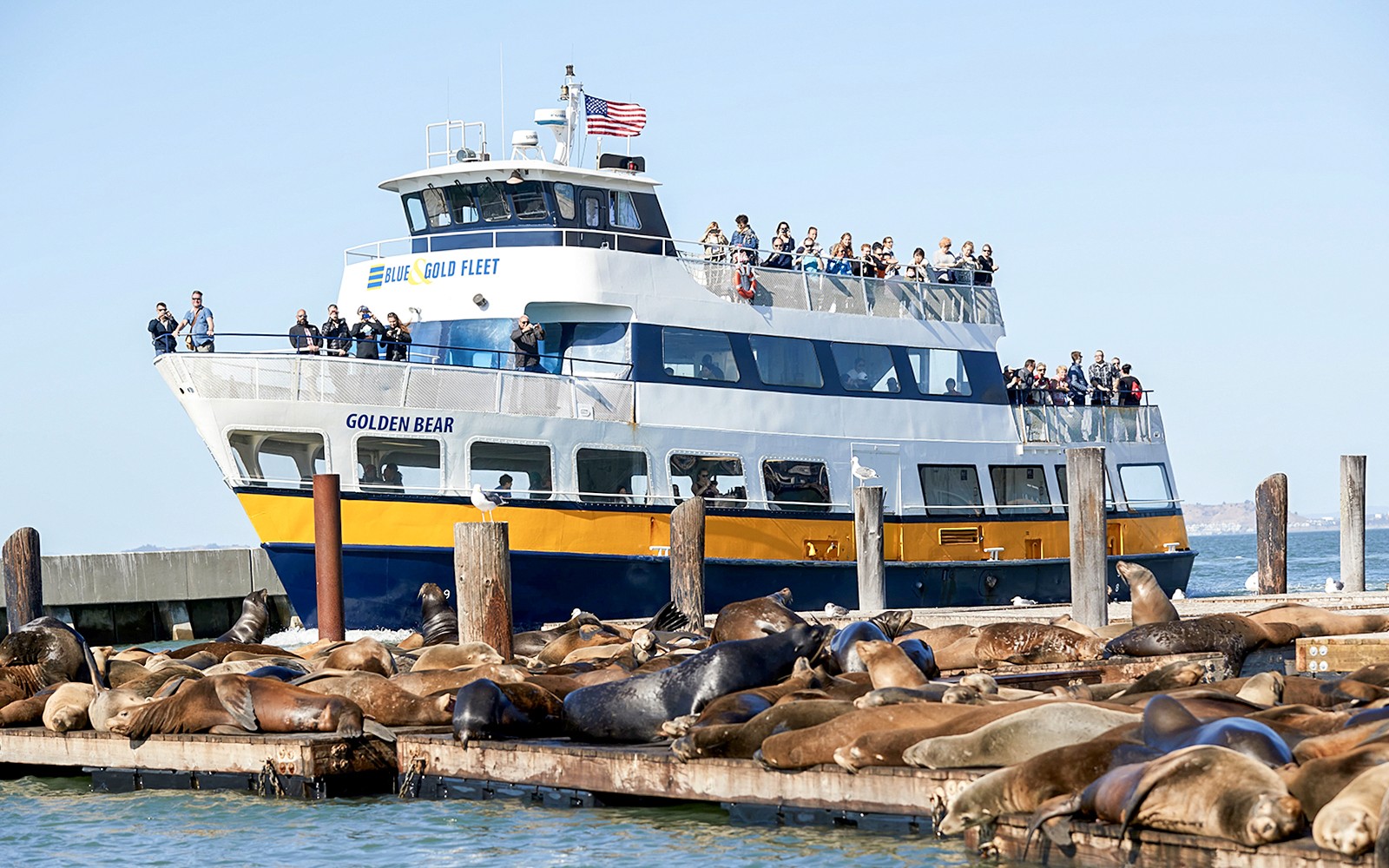 Alcatraz Tour and San Francisco Bay Cruise