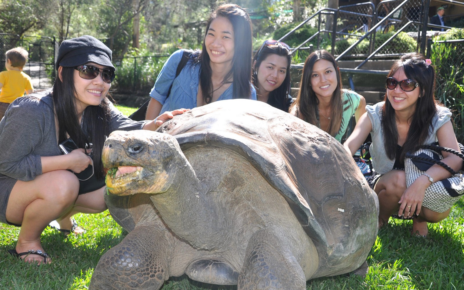Australian Reptile Park Ticket