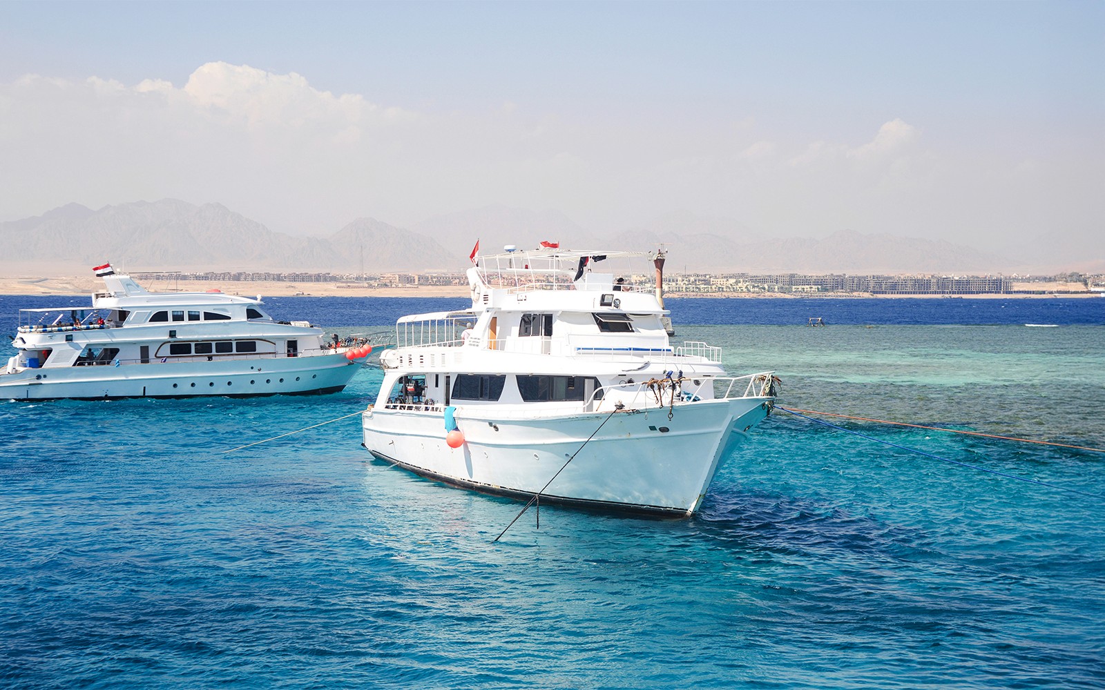 From Sharm El Sheikh: Tiran Island Cruise with Diving, Snorkeling & Lunch — gallery 1