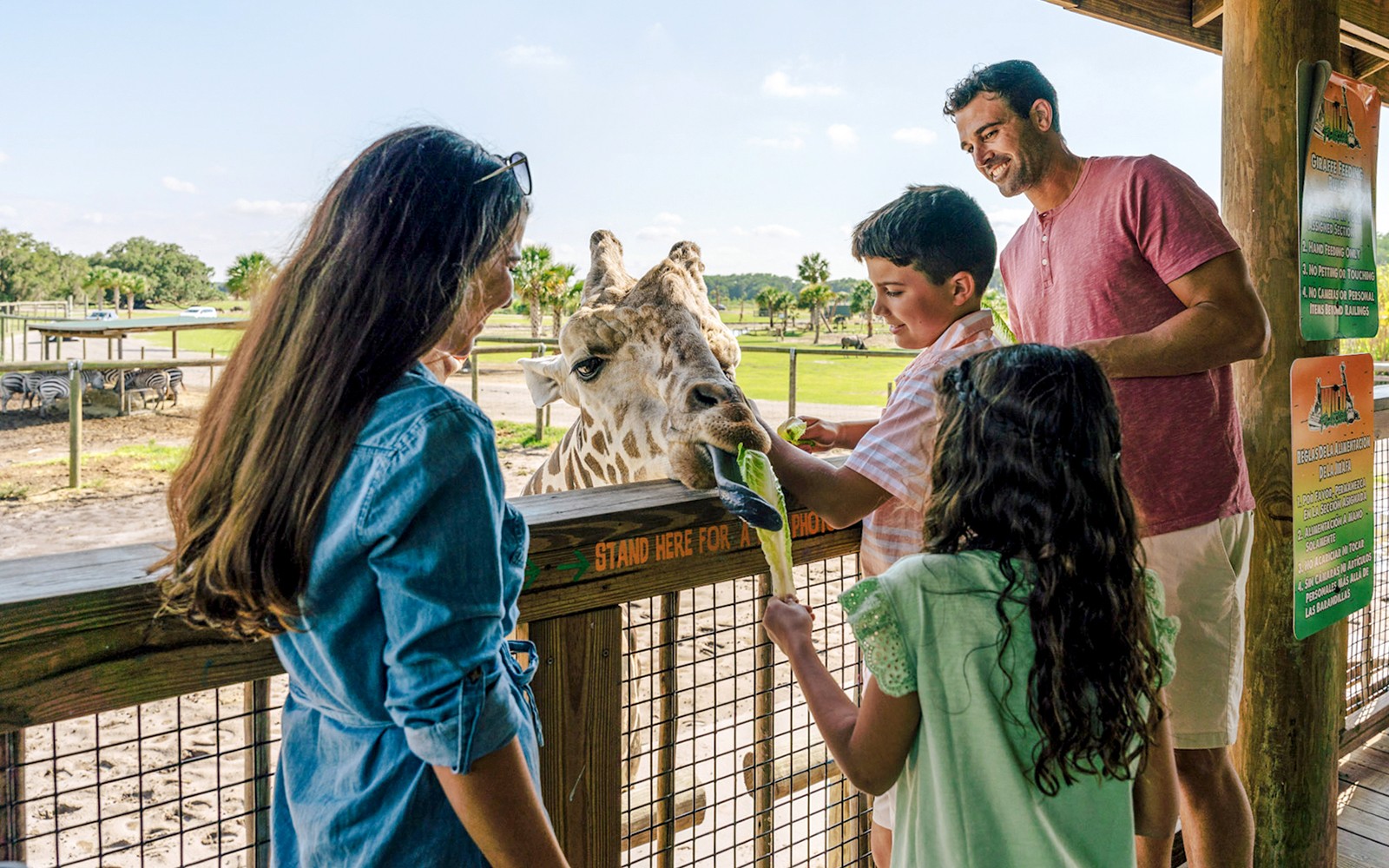 Orlando: Wild Florida 1‑Hour Airboat Tour with Gator Park Tickets