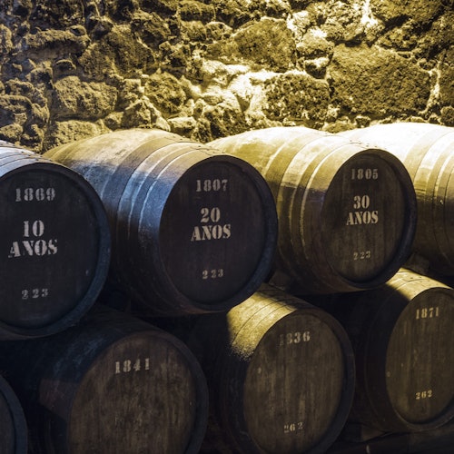 Porto Wine Tasting: Burmester Wine Cellars
