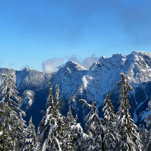 Vancouver: Guided Snowshoeing Tour on Grouse Mountain