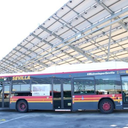 Seville: One-Way Transfer from City Center to Airport — gallery 4