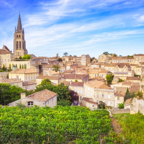 Saint-Émilion Village: Half-Day Wine Tour from Bordeaux — gallery 1