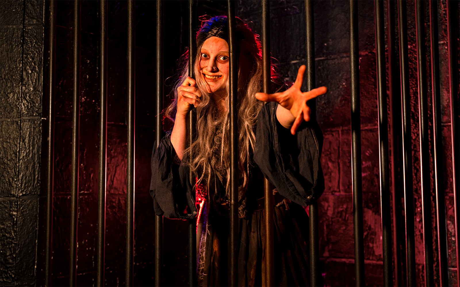London Dungeon VIP Package Tickets — main image