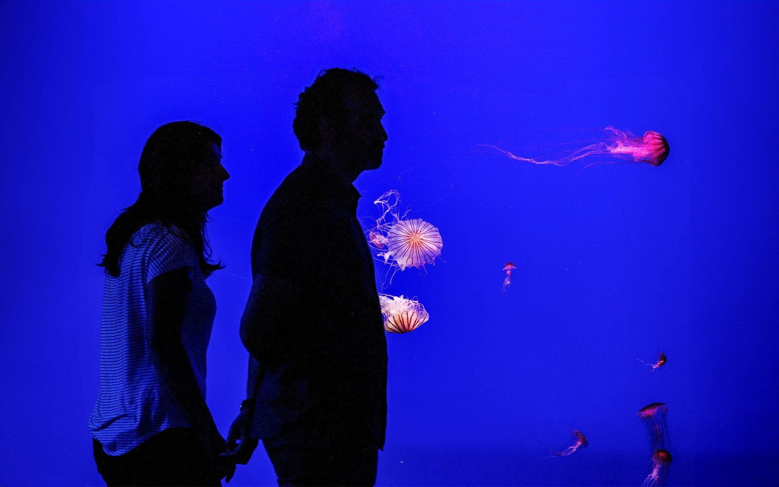 Seville Aquarium Tickets — gallery 5