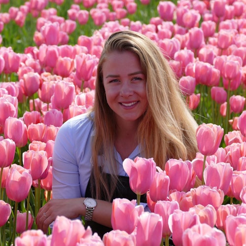 Keukenhof: Guided Tour + Tulip Farm Visit + Windmill Cruise — gallery 4