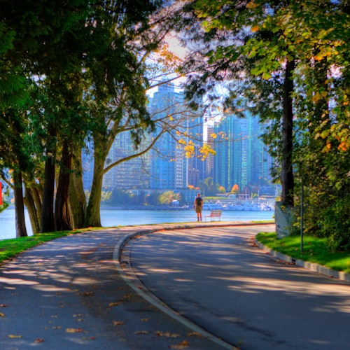 Vancouver: City Highlights Tour + Vancouver Lookout & Capilano Suspension Bridge — gallery 5