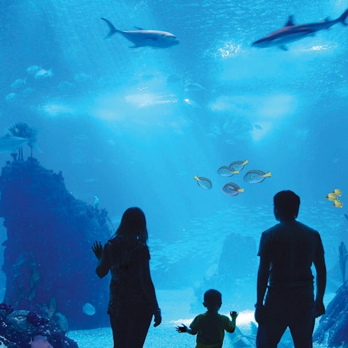 Antalya Aquarium & Face 2 Face Wax Museum — gallery 1
