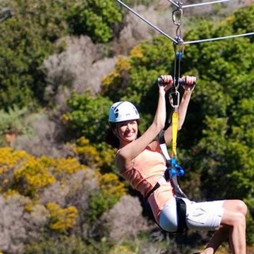 Catalina Island: Day Trip with Zipline Eco Tour — gallery 3