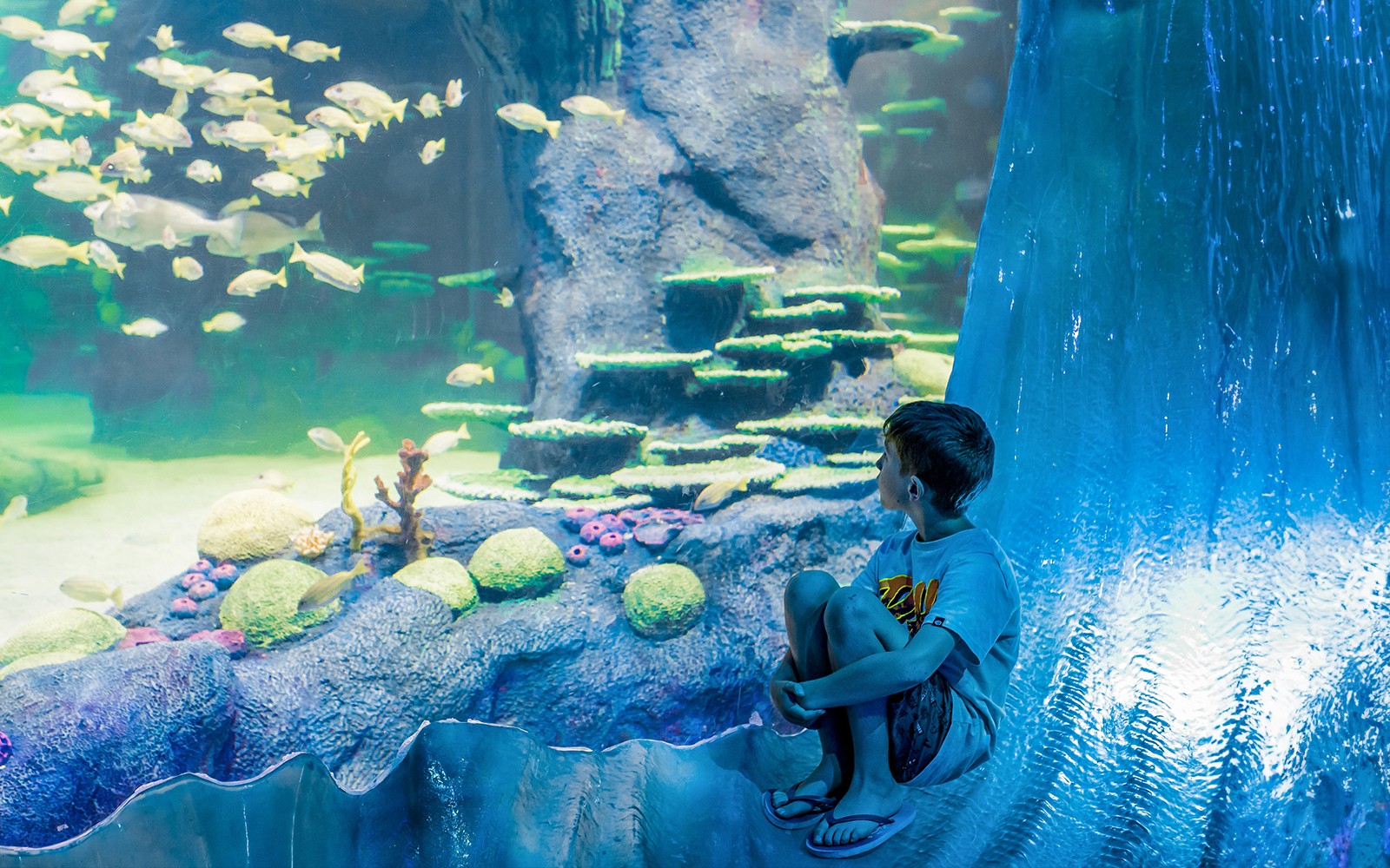 SEA LIFE Sydney Aquarium Tickets — gallery 2