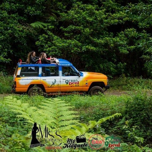 Madeira: Guided 4x4 Jeep Tour + Cabo Girão Skywalk + Wine & Tapas Tasting — gallery 4