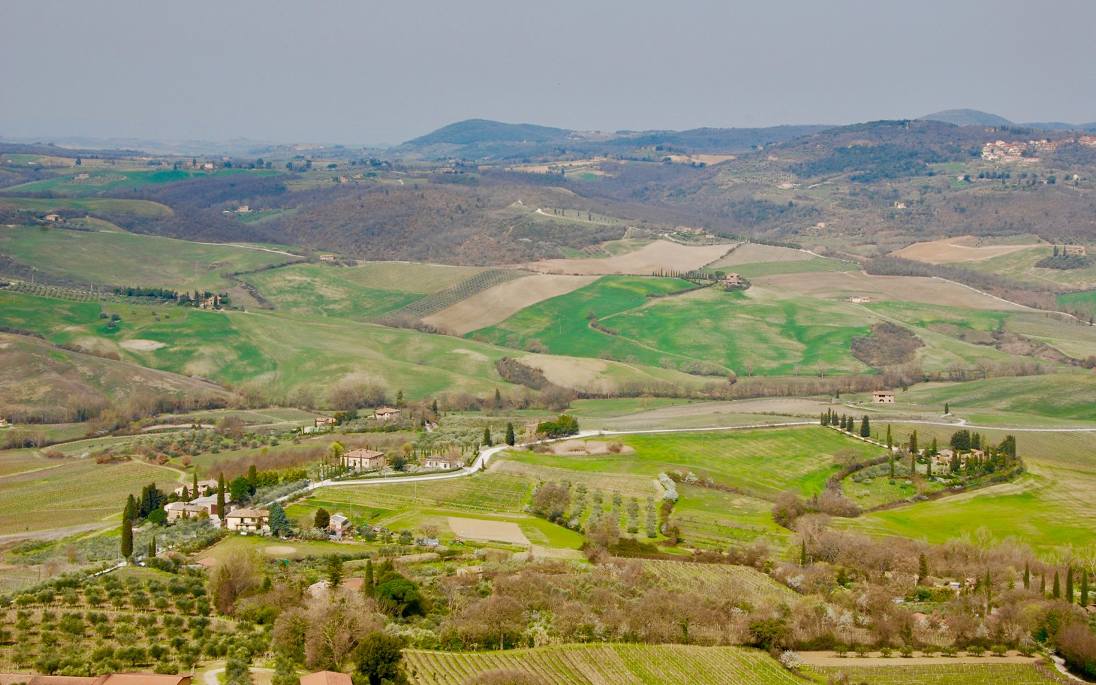 From Rome: Tuscany Day Trip with Lunch and Sommelier‑Led Tasting — gallery 1